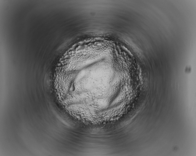 X0000093760165200711061119