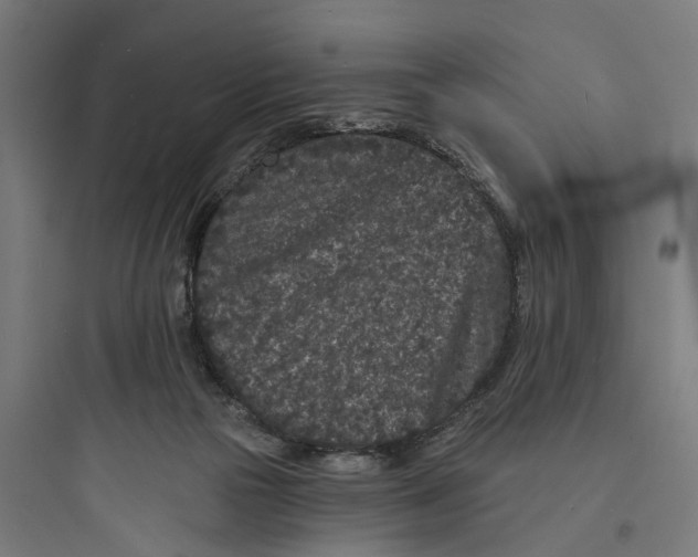 X0000093760169200711061119