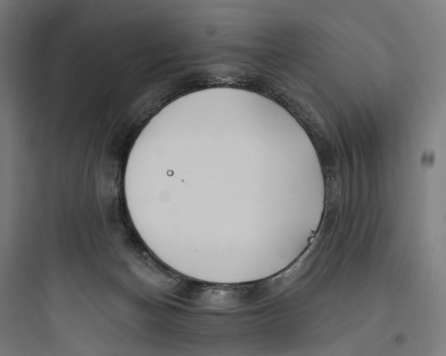 X0000093760174200711061119