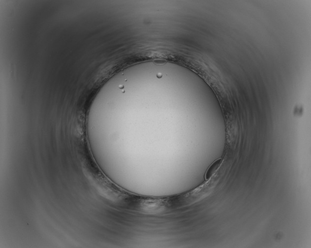 X0000093760175200711061119