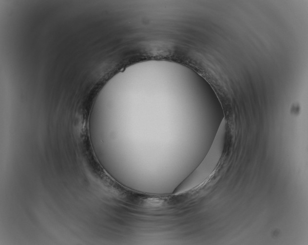 X0000093760176200711061119