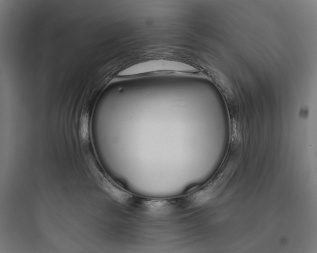 X0000093760189200711061119