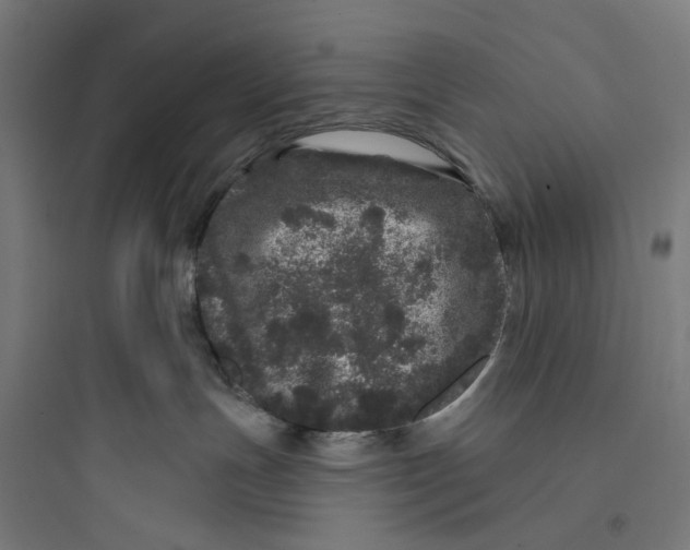 X0000093760191200711061119