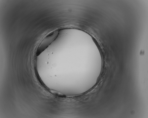 X0000093760193200711061118