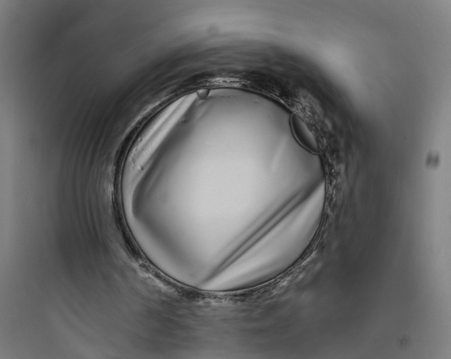 X0000093760194200711061118