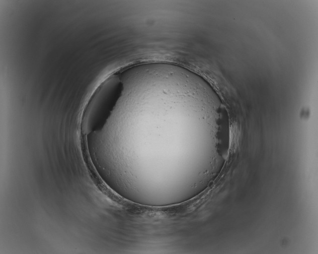 X0000093760195200711061118