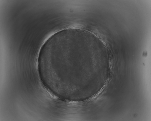 X0000093760196200711061118