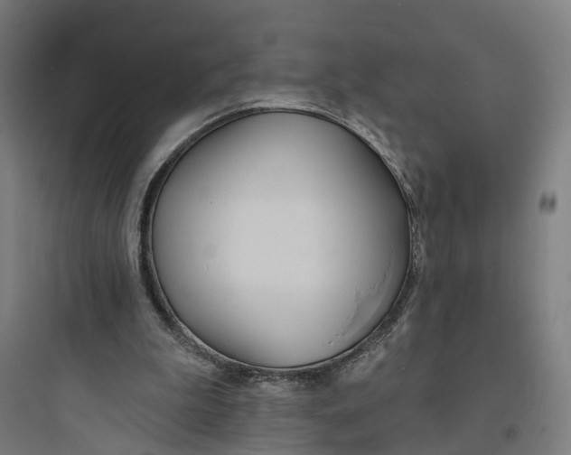 X0000093760199200711061118