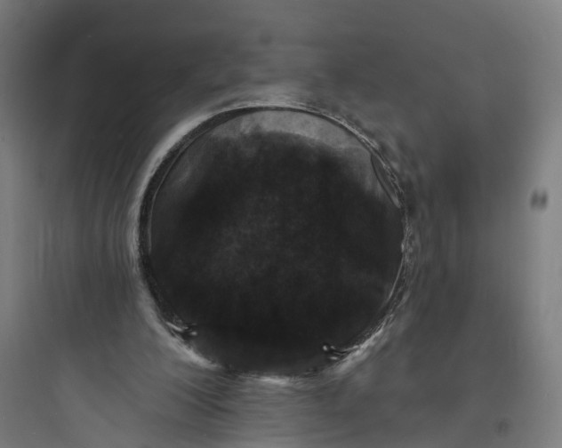 X0000093760200200711061118