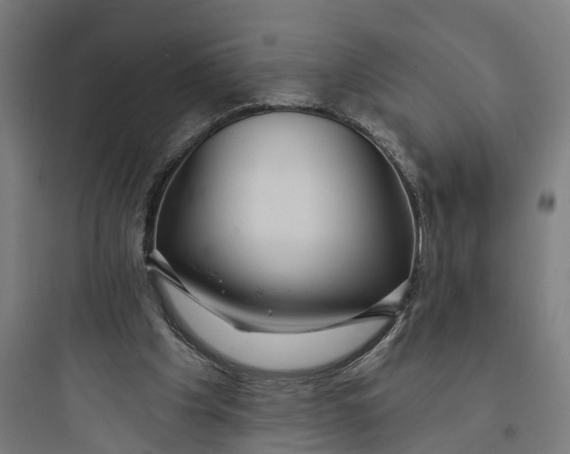 X0000093760201200711061118