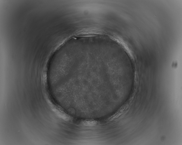 X0000093760202200711061118