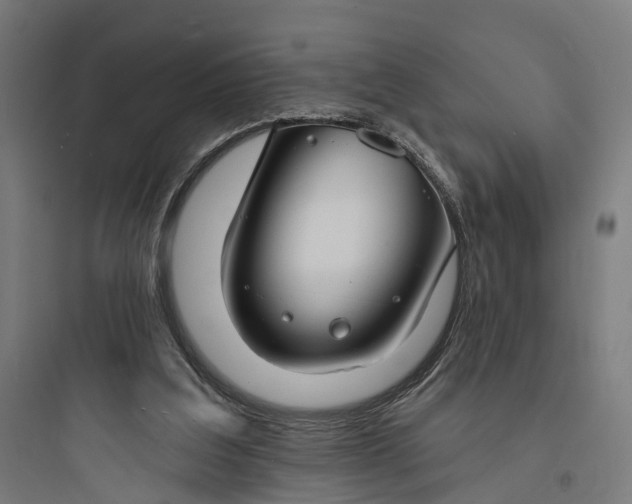 X0000093760203200711061118