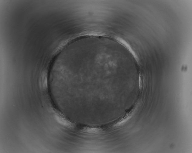 X0000093760205200711061118