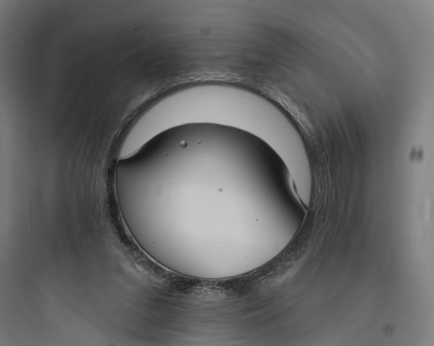 X0000093760207200711061118