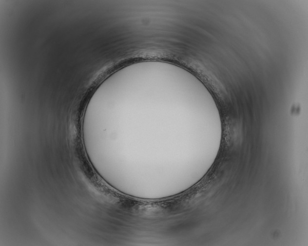 X0000093760208200711061118