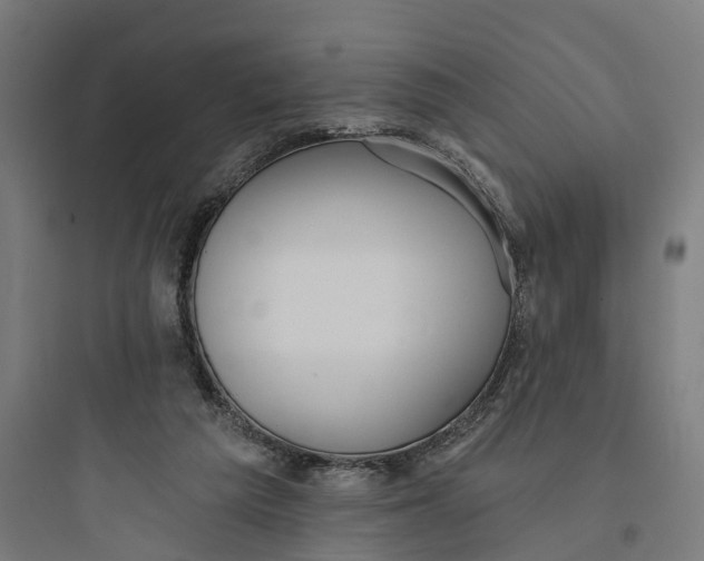 X0000093760209200711061118