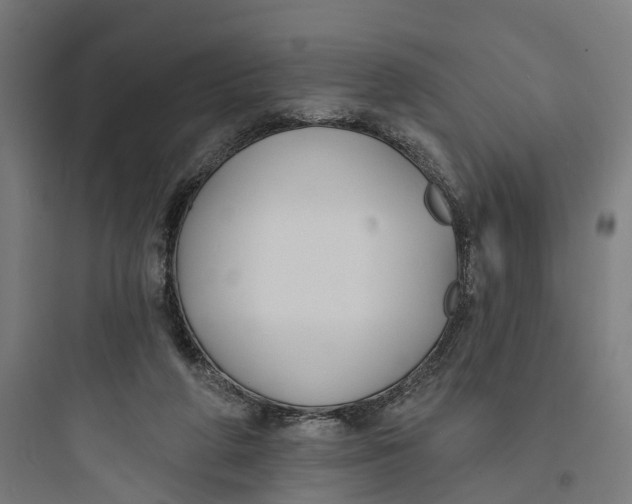 X0000093760210200711061118