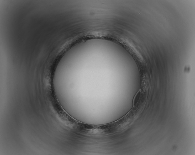 X0000093760212200711061118