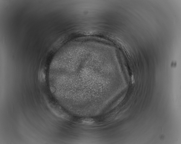 X0000093760214200711061118