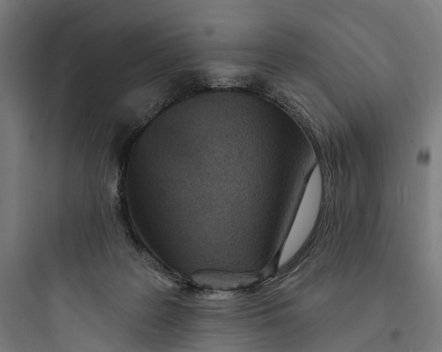 X0000093760219200711061118