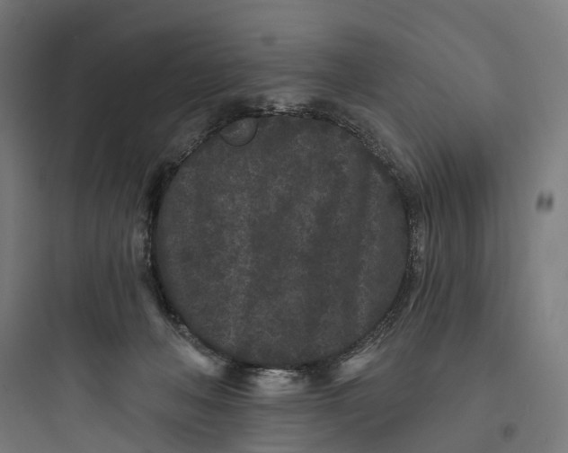 X0000093760222200711061118