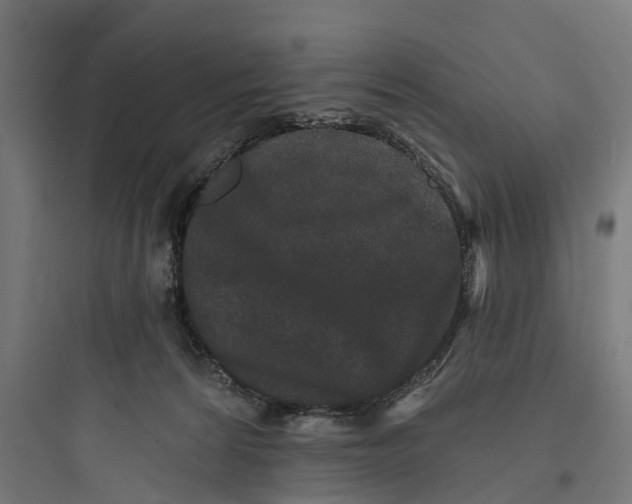 X0000093760224200711061118