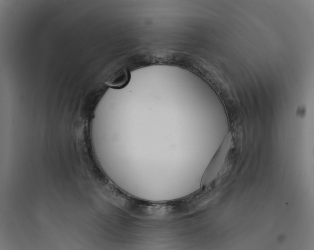 X0000093760225200711061118