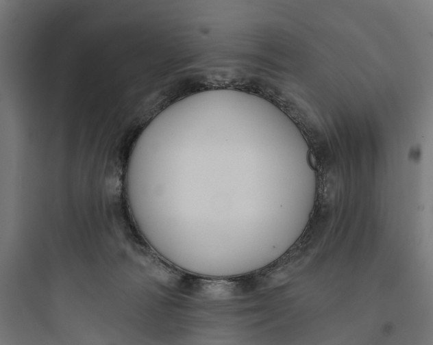 X0000093760226200711061118