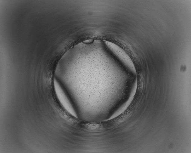 X0000093760230200711061118