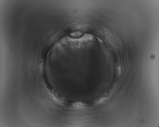 X0000093760231200711061118