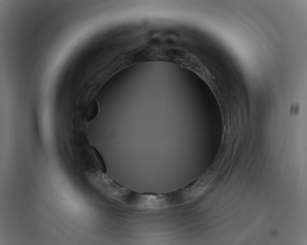 X0000093760239200711061118