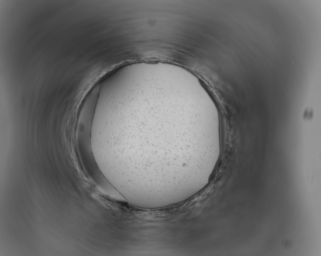 X0000093760241200711061117