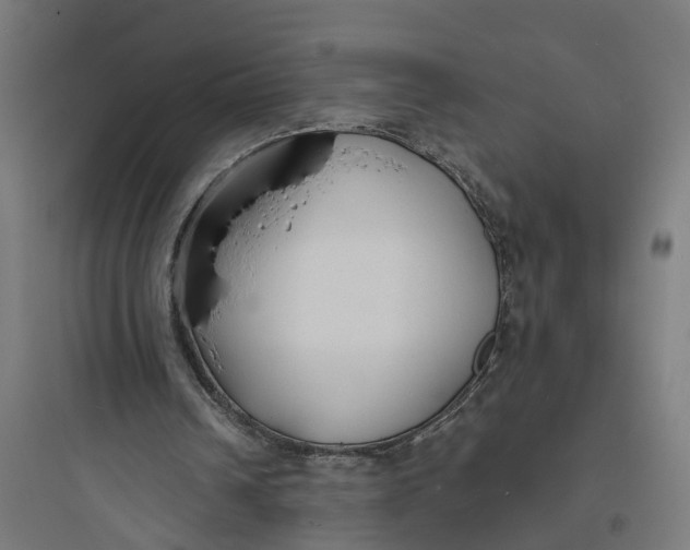 X0000093760242200711061117