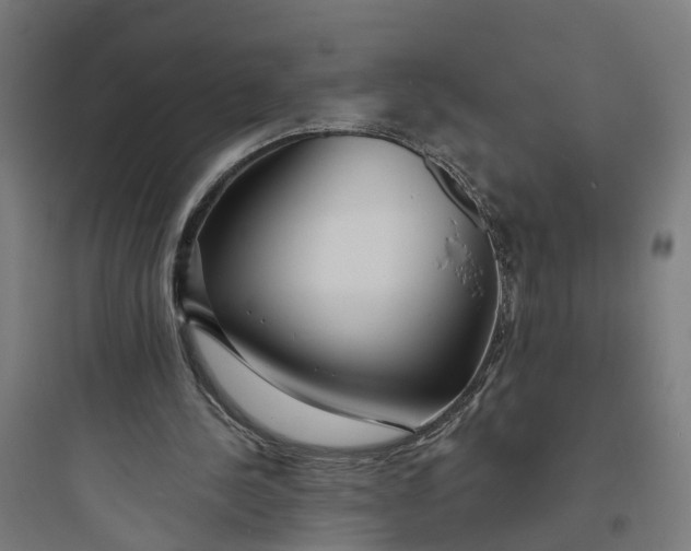 X0000093760244200711061117