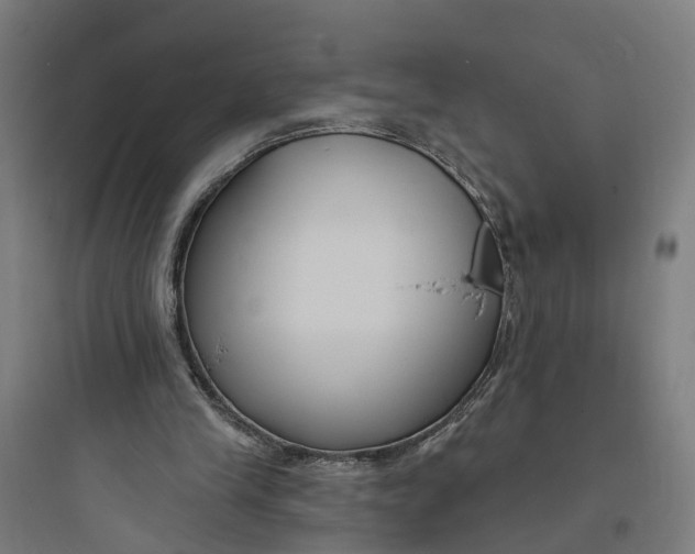 X0000093760245200711061117