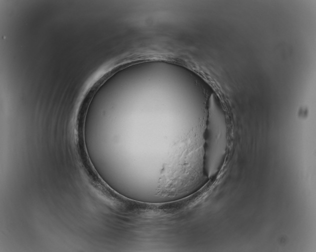 X0000093760246200711061117