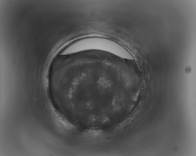 X0000093760247200711061117