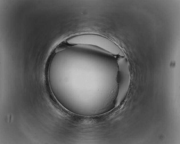 X0000093760248200711061117