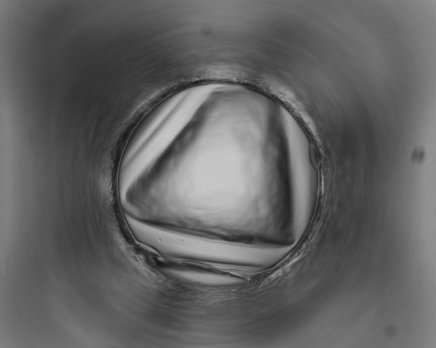 X0000093760249200711061117