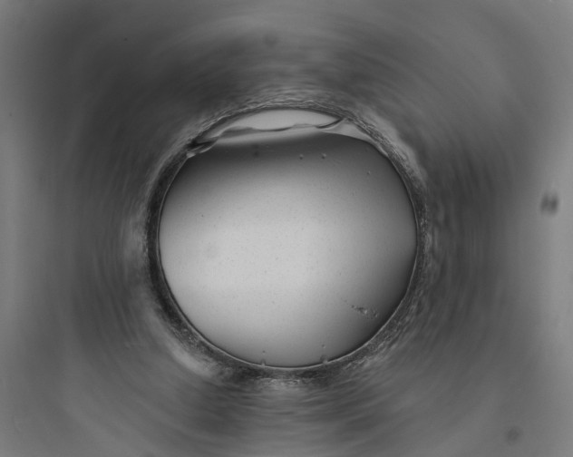 X0000093760250200711061117