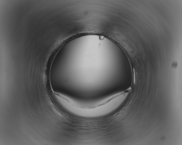 X0000093760252200711061117