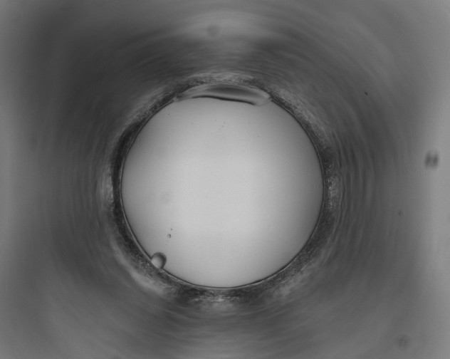 X0000093760254200711061117