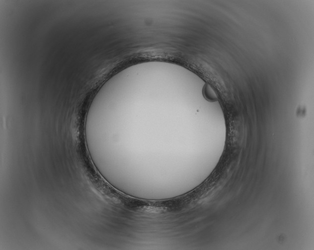 X0000093760255200711061117