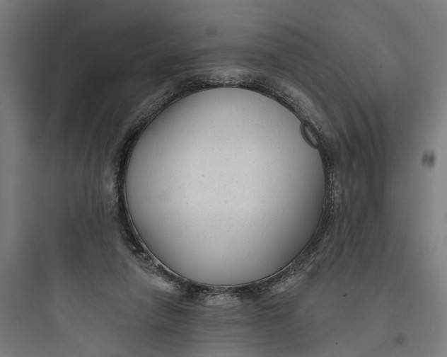 X0000093760258200711061117