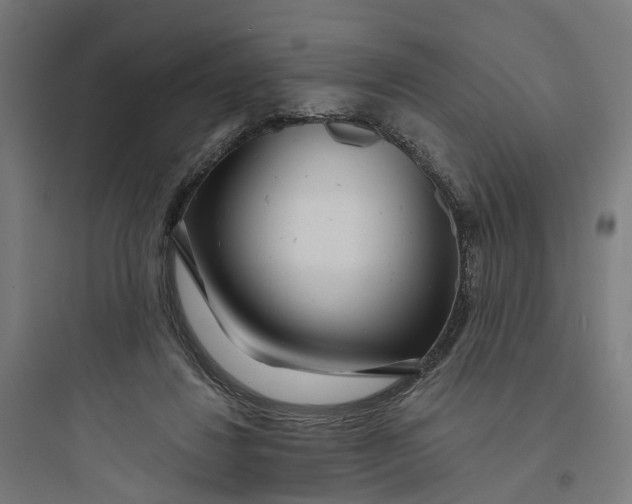 X0000093760260200711061117