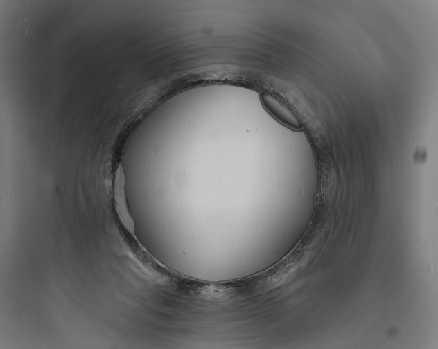 X0000093760261200711061117