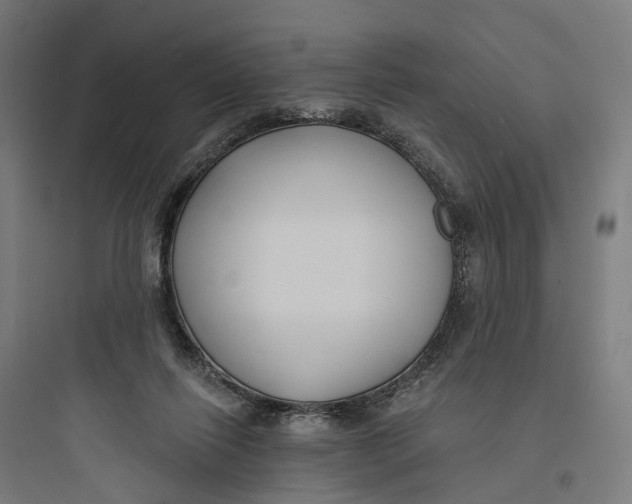 X0000093760262200711061117