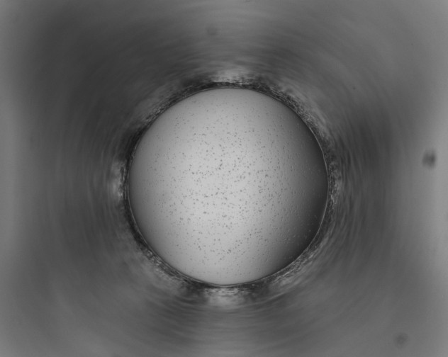 X0000093760273200711061117