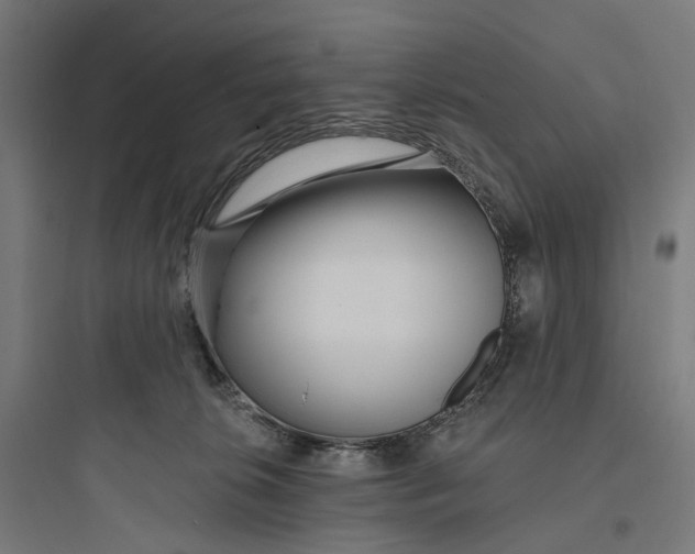 X0000093760276200711061117