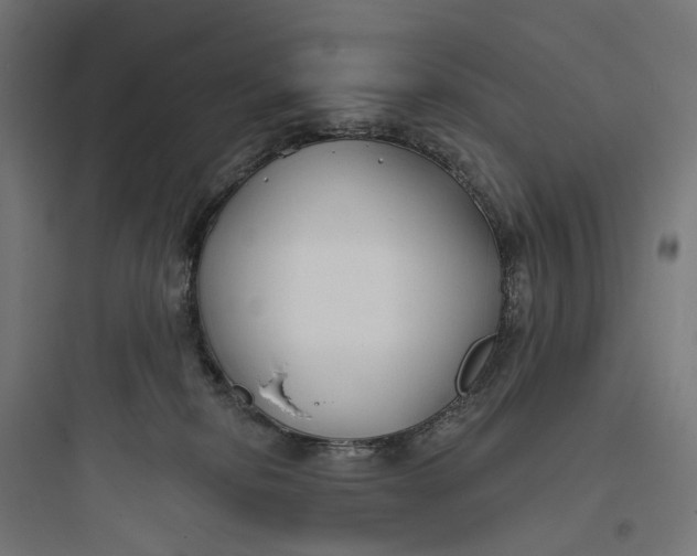 X0000093760278200711061118